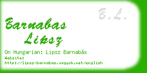 barnabas lipsz business card